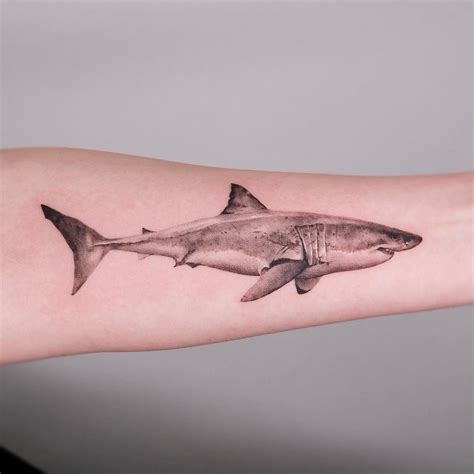 White Shark Tattoos