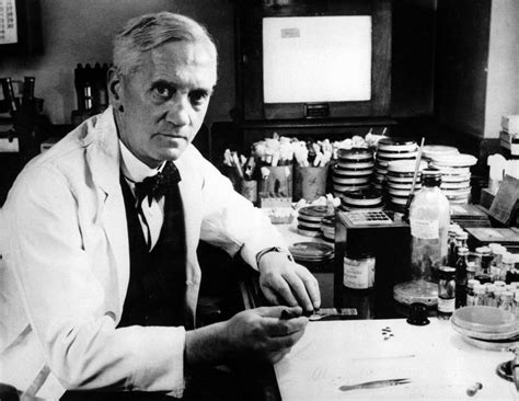 Who Invented Antibiotics