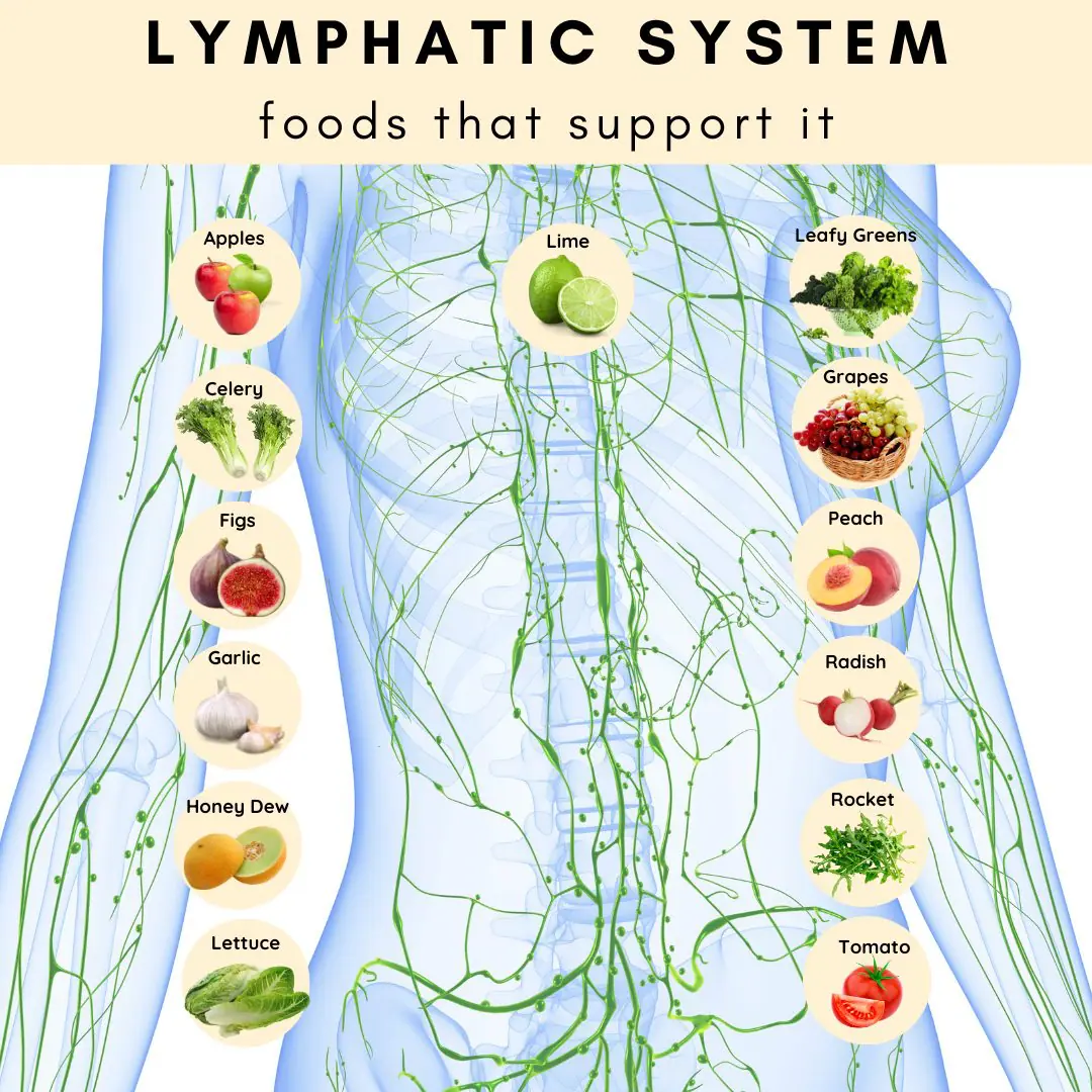 The Worst Foods For Your Lymphatic System And How To Detox