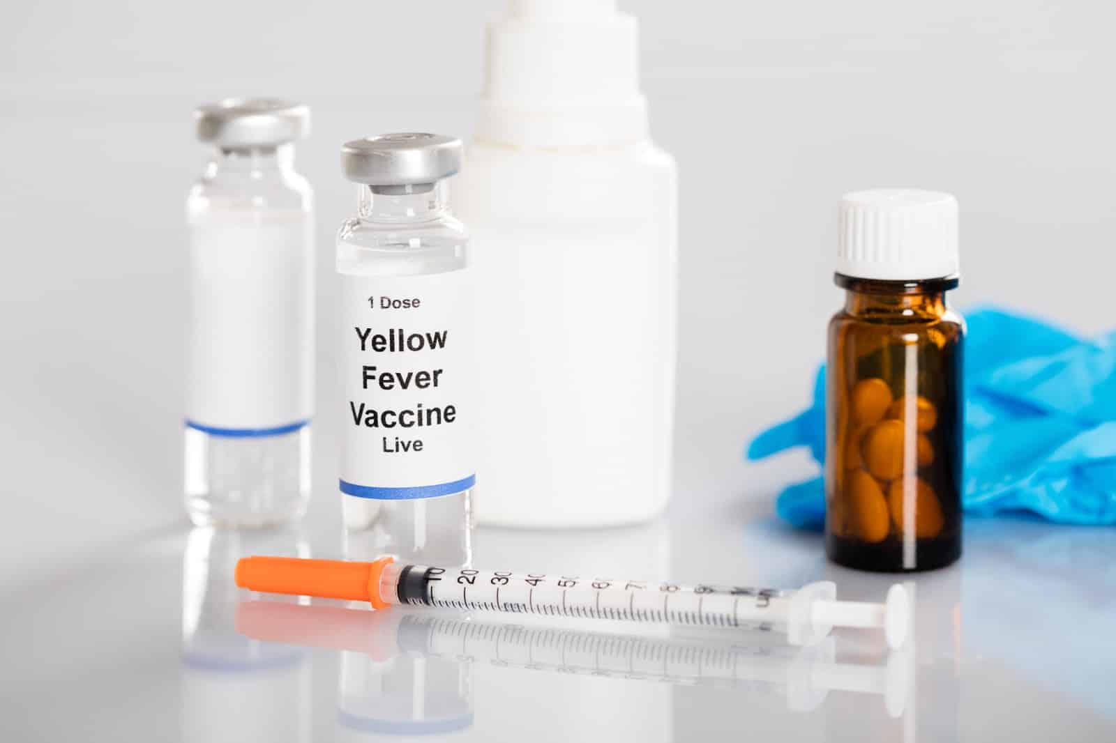 Yellow Jacket Bites Pictures
