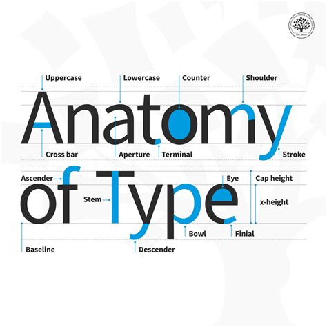 Z Font Anatomy